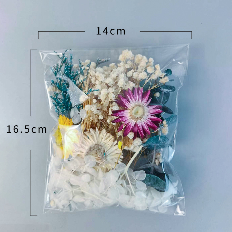 1pack Multifarious Dried Flowe - Craft Embellishments 评论和价格