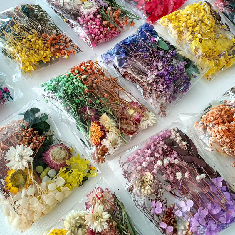 1pack Multifarious Dried Flowe - Craft Embellishments 评论和价格